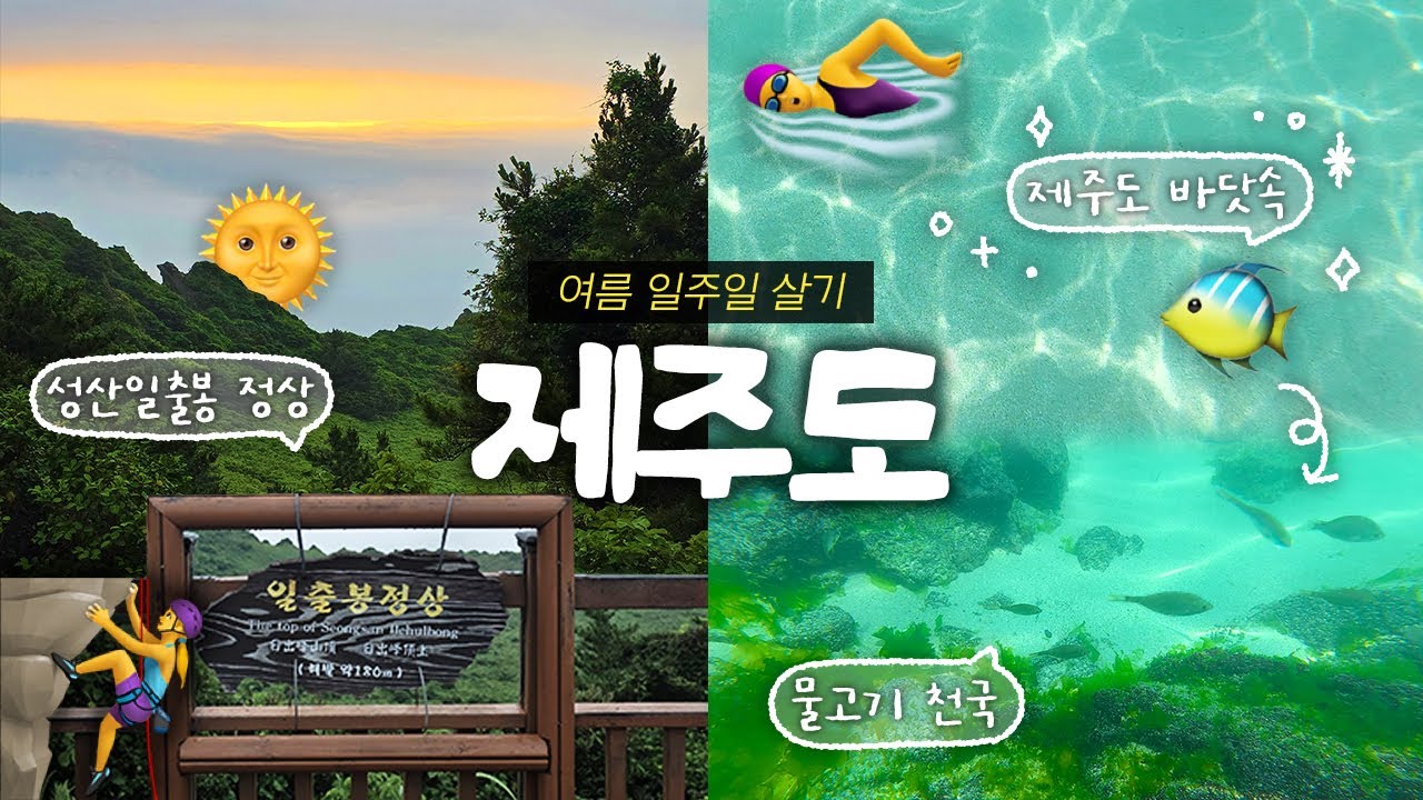 성산일출봉⛰️등산하고, 스노쿨링🐠 하는 개빡센 제주도 동쪽 하루🍊| 일출봉유료코스, 월정리맛집, 동쪽바다, 숙소추천, 물고기천국, 접짝뼈국 | 제주도 여행 vlog ep.3