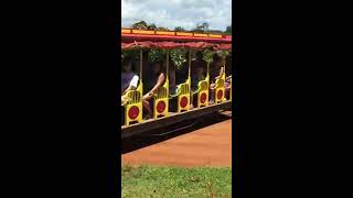Dole Plantation Pineapple Express Train Tour Oahu