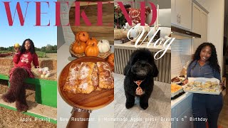 VLOG | Apple picking + Making Apple pies + Sunday dinner + Dream's 6th Birthday 