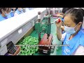 AOSI Electronics Professional Production Of Terminal Blocks 