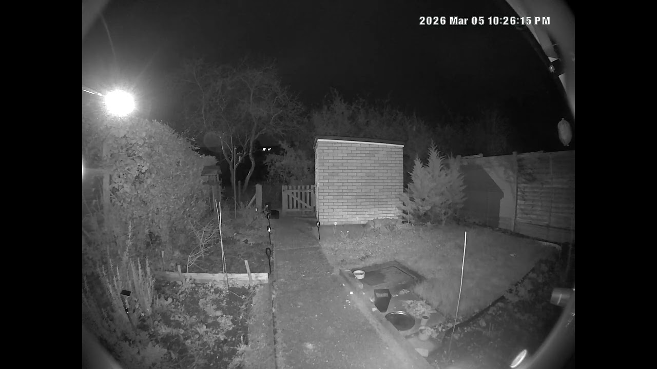 Doorbell 'sprite' is back