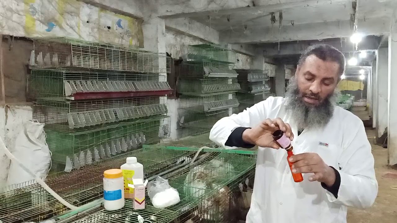 ارانب الخير  الجرب مزهقك تعالي وانا اقولك،،،10