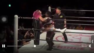 Women Wrestling Low Low See Description