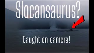 Lake Monster  Slocansaurus caught on camera! (real)