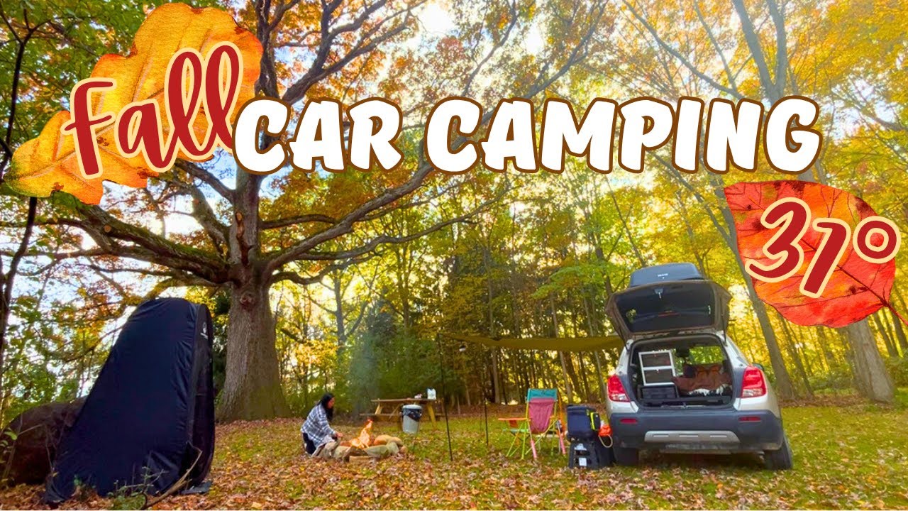 Кемпинг на машине под большим дубом — костер Фо 🍲 Осенние листья 🍂