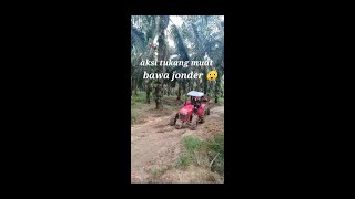 Aksi Tukang Muat Saat Bawa Jonderparahmen