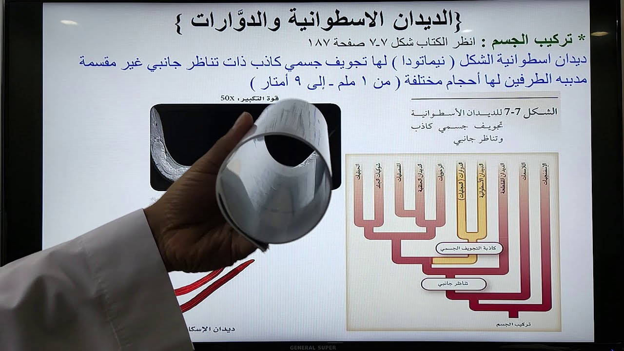 الديدان الاسطوانية والدوّارات