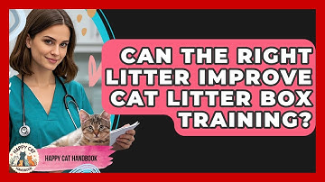 Can The Right Litter Improve Cat Litter Box Training? - Happy Cat Handbook