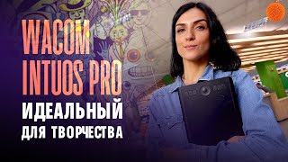 Wacom Intuos Pro: графический планшет профессионального уровня