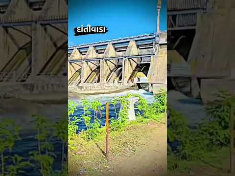 Dantiwada Dam status||