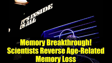 Memory Breakthrough! Scientists Reverse Age-Related Memory Loss