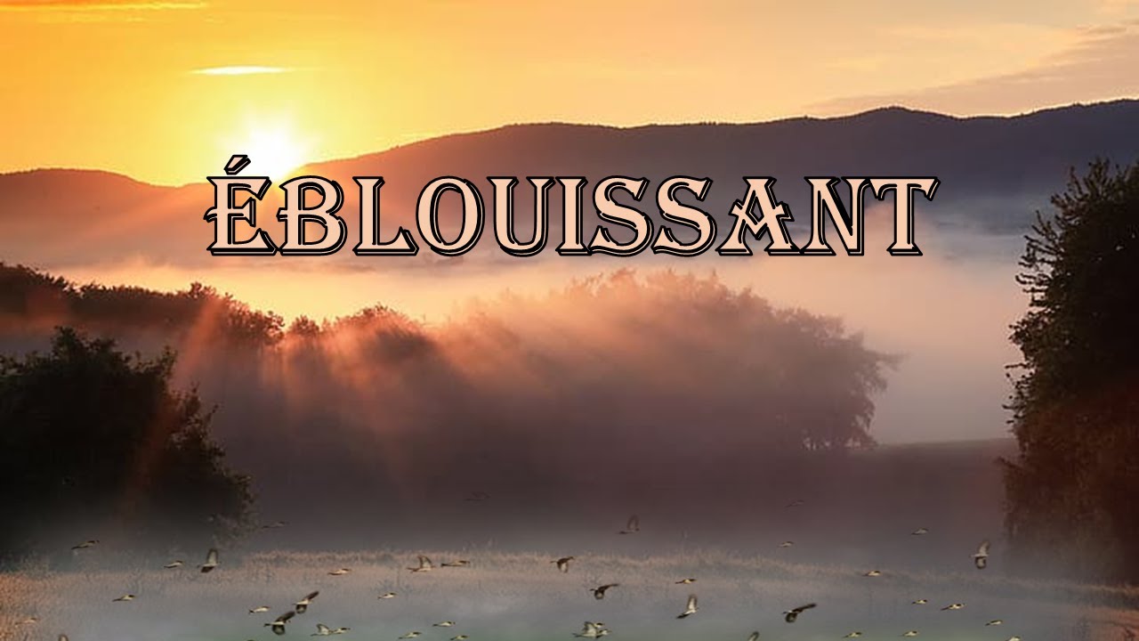 Le chardonneret éblouissant