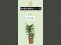 日本語の便利なフレーズ #shorts