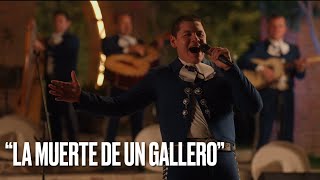LA MUERTE DE UN GALLERO - “ALAS DESDE LA HACIENDA” EN VIVO 