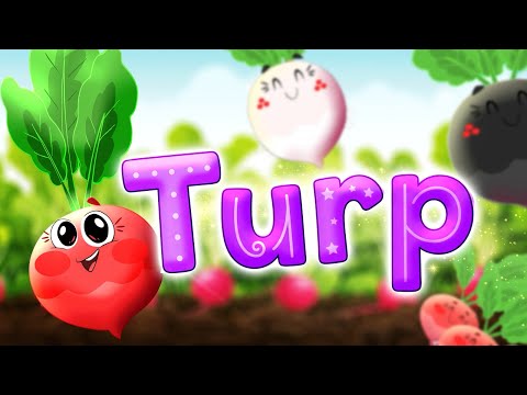 Turp | Cennet Kuşları Bebek Türkçe طيور الجنة