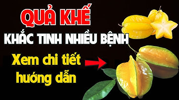 Đừng Bỏ Phí Quả Khế: Thần Dược Âm Thầm Cứu Sức Khỏe Người Việt | Nam Dược Toàn Thư