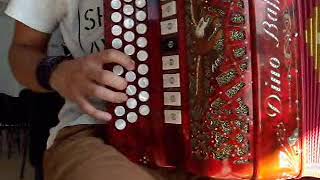 Lord of the Dance - Ronan Hardiman -  Diatonic Accordion Cover by Fábio Francisco screenshot 4