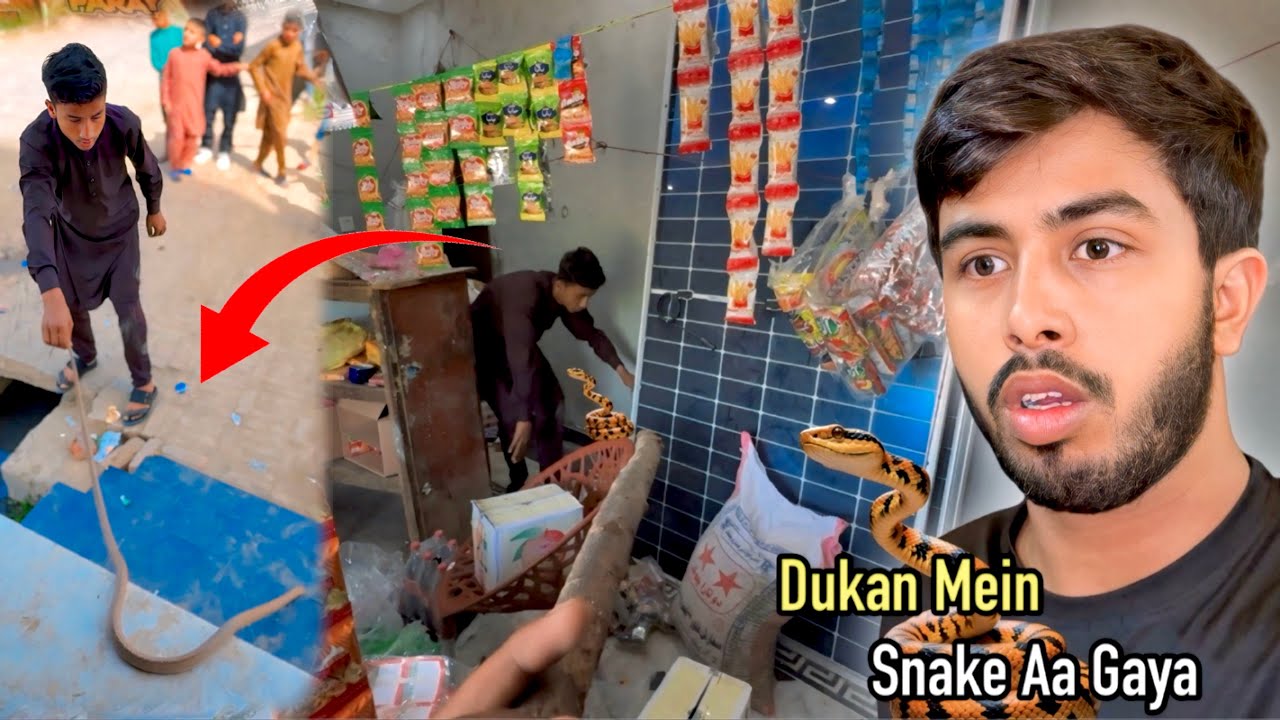 Dukan Mein Snake Aa Gaya | Zohaib Pendu | Zohaib Sabir