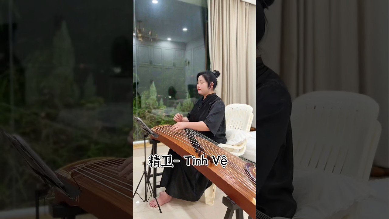 精卫 - Tinh Vệ | Guzheng 古筝 Đàn Tranh cover