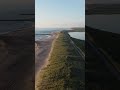 Śledzą nas... Okradają z ścieżek i ustroni... | Bolesław Leśmian