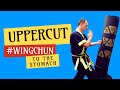 Erlernen sie im wing chun eine kraftvolle bauchuppercuttechnik fr den nahkampf