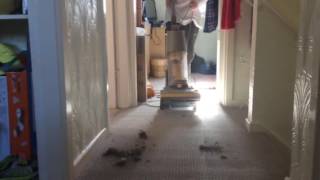 Dyson dc 01 demonstration