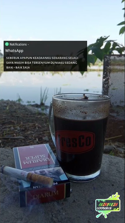 Story Wa Keren || Story Wa Kekinian || Story Wa 2021 || Dj Terbang Bersamaku || Tik Tok Viral || FYP