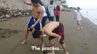 STEM 11 FORTITUDE 4A