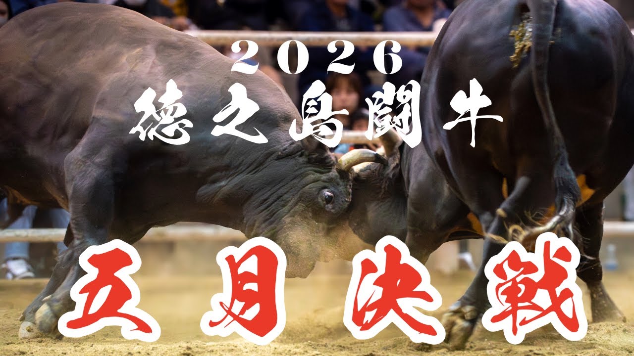 闘牛 maxresdefault.jpg