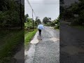 Peaceful Village After Heavy Rain: Calm and Relaxing #greenvillage #nature #rain #calm