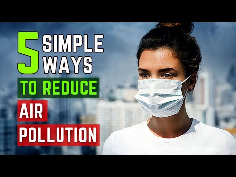 How To Reduce Air Pollution In Daily Lifestyle