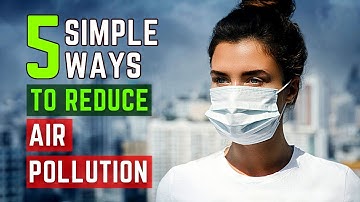 5 Simple Ways to Reduce Air Pollution in Your Daily Life