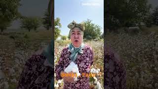 Download Lagu Sohiba _ Paxtada MP3 Download Lagu Sohiba _ Paxtada MP3