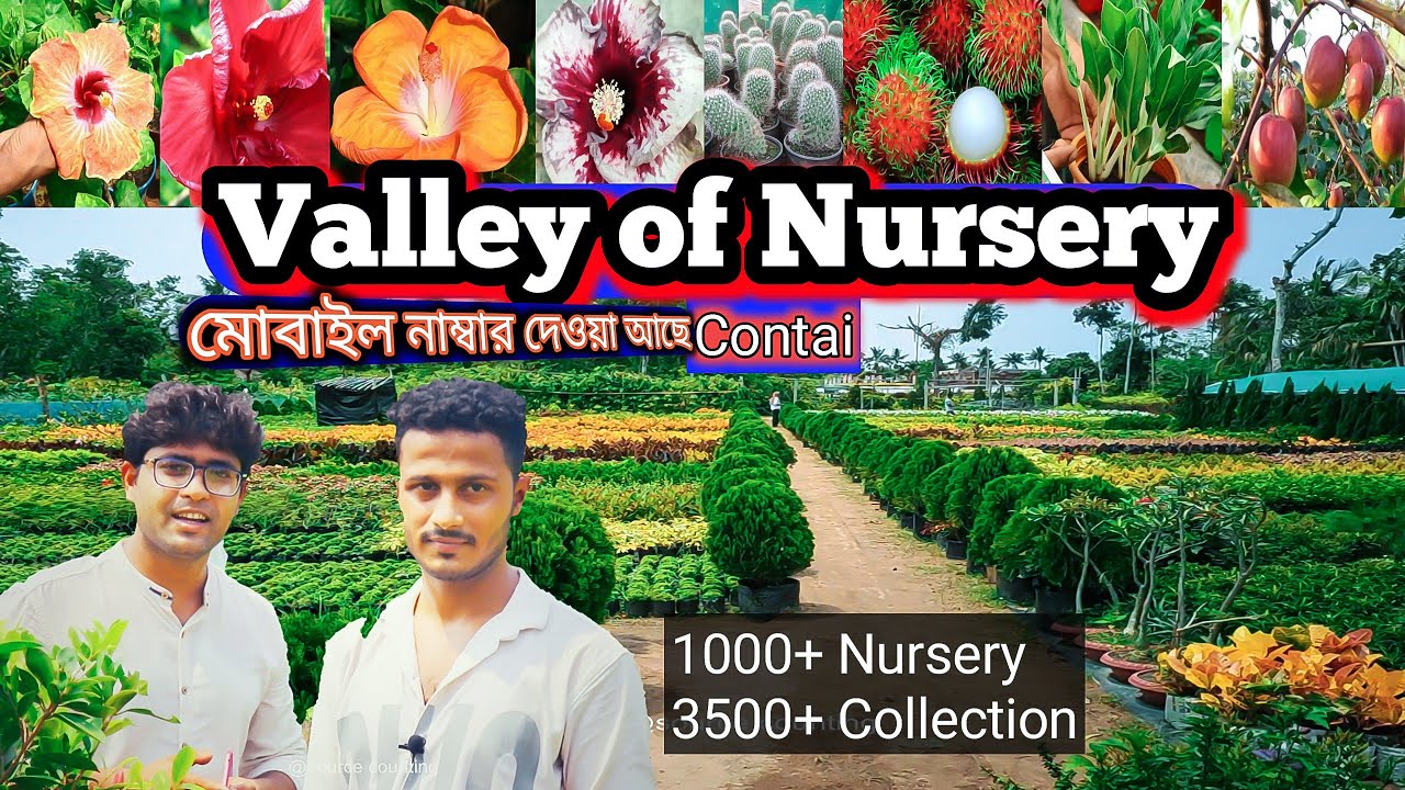 Valley Of Nursery || দিঘা যাওয়ার পথে || 3500  verity Plant Collection || Contai Nursery