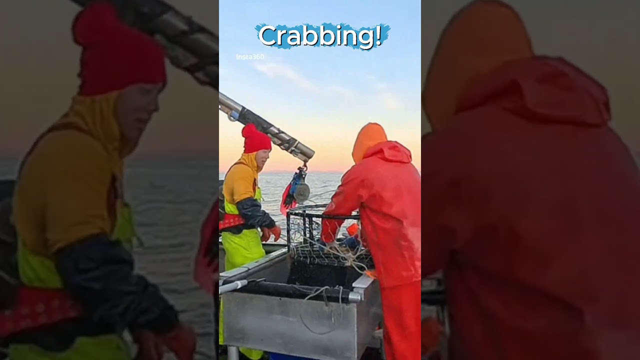 Ловля крабов