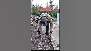 Hammer Comparison Pulling Grade Pins and having fun. #buildingconstruction #woodworking