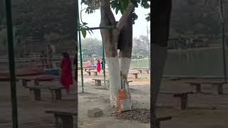 amanor Park ❣️ mini vlog 😎🙏