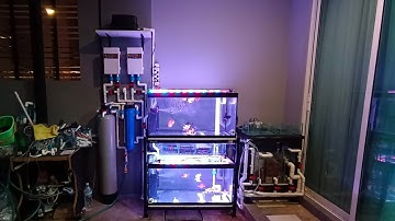 Earth พระราม 2 - งาน O4AS ตู้ปลาทองชุดเล็ก 3 ใบ กรองล่าง 1 กรองบน 2/ วันนี้ยังไม่จบ พรุ่งนี้มีภาคต่อ