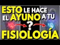 La FISIOLOGÍA Del AYUNO INTERMITENTE Explicada