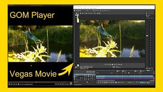 How to Extract Single Frames from a Video GOM Player and Vegas Movie Studio 15 0