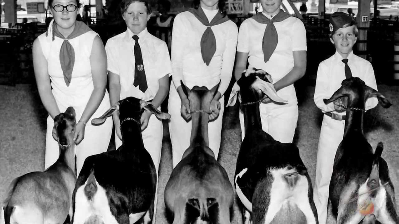 The Sonoma County Food & Farming Project | Redwood Hill Farm