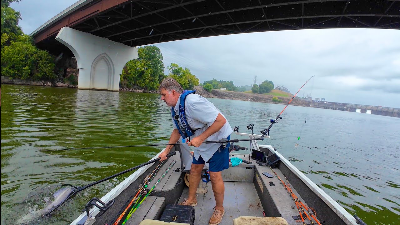 I Caught The Big One Down By The Bridge