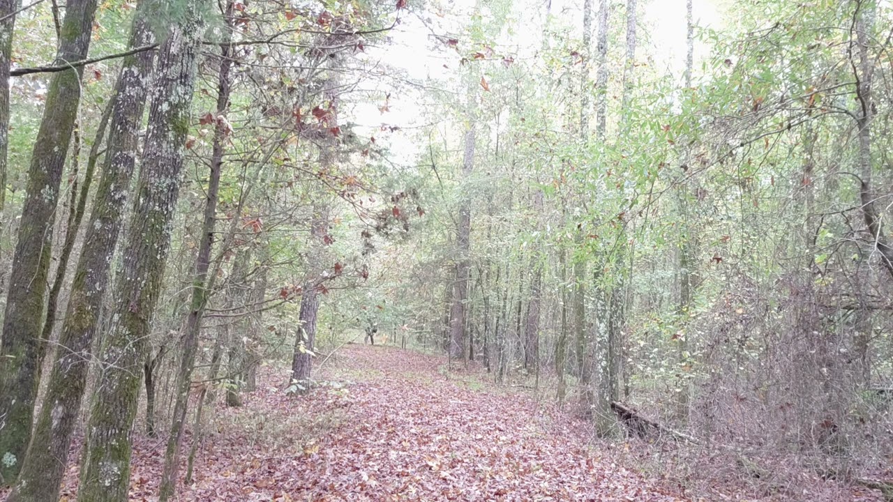 Operation Lights Out Update:  The Sniper is on the move and missed his dinner 