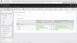Sequential Segmentation in Adobe Analytics