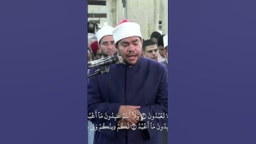 سورة "الكافرون"، بصوت الشيخ / رضا السويفي من صلاة التراويح #رمضان 1446هـ بالجامع الأزهر
