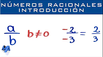 ¿Cuáles son los 4 tipos de números racionales?