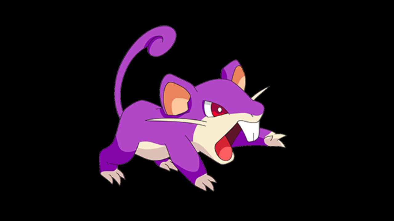 rattata cry