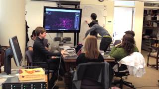 Blooper Reel: MIT Neuroscience Harlem Shake