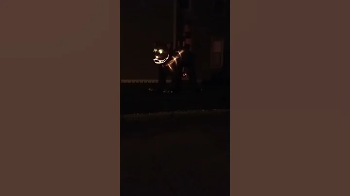 Light Up Halloween Decoration2022