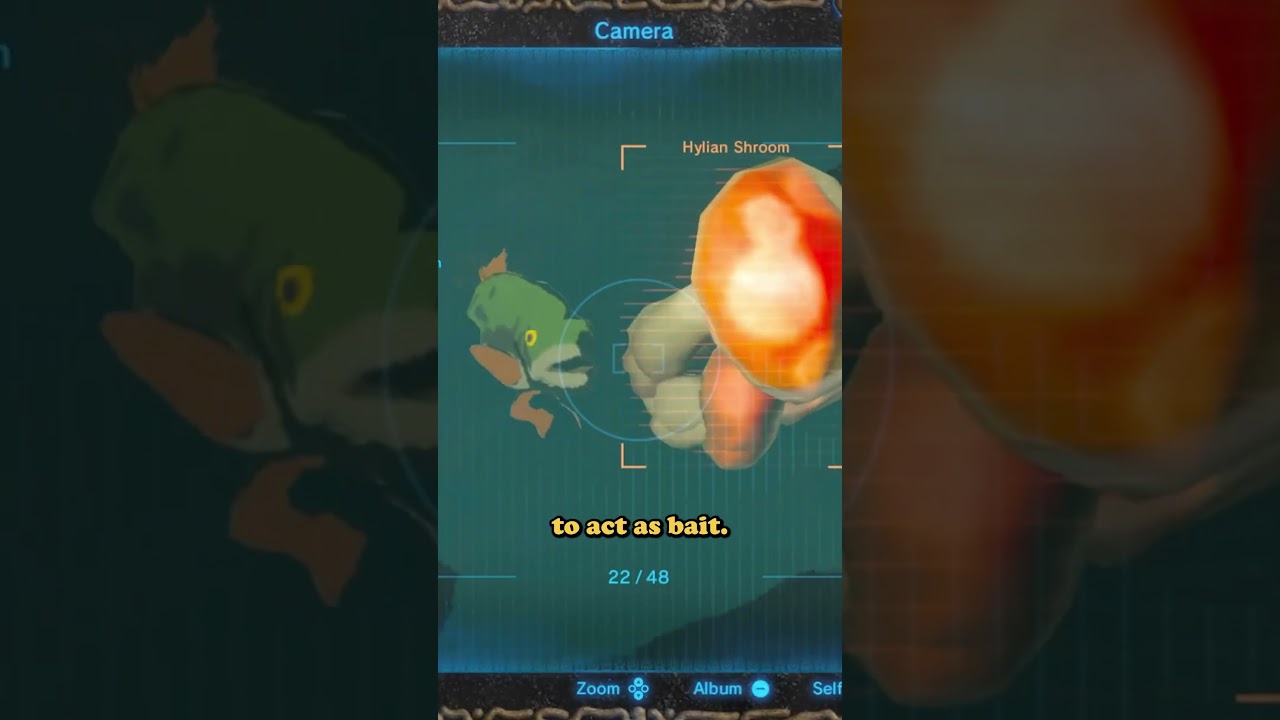 botw fish lure BOTW: Fish Bait #botw #breathofthewild